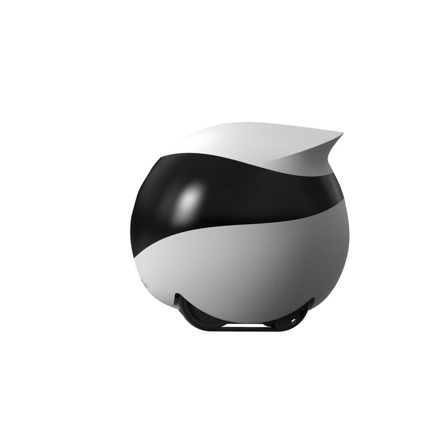 Enabot EBO SE Smart Home Robot